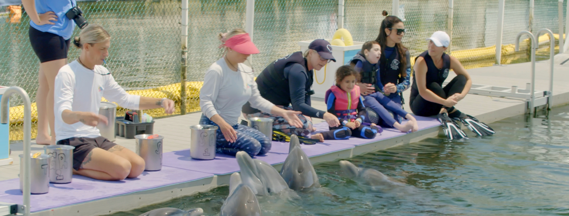 TThe Shukovsky family feeding the dolphins